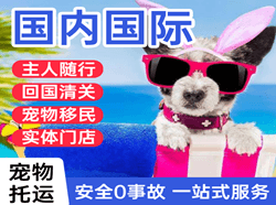 邯郸航空物流国际宠物托运 【国